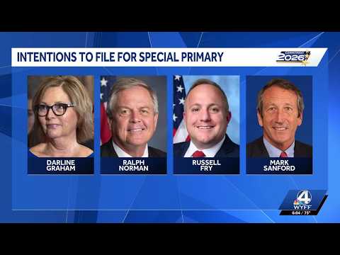 Who is seeking the Republican nomination in the U.S. Senate race in South Carolina?