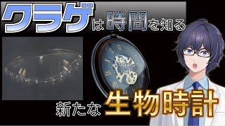 概日時計は何度も進化した⌚ ― クラゲで見つかった新たな時計🪼 #たかとー研究室