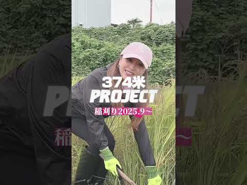 374米予約販売開始！ぜひご賞味くださいませ！