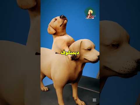 تجربة الكلب ذو الرأسين!!! 🤯😱