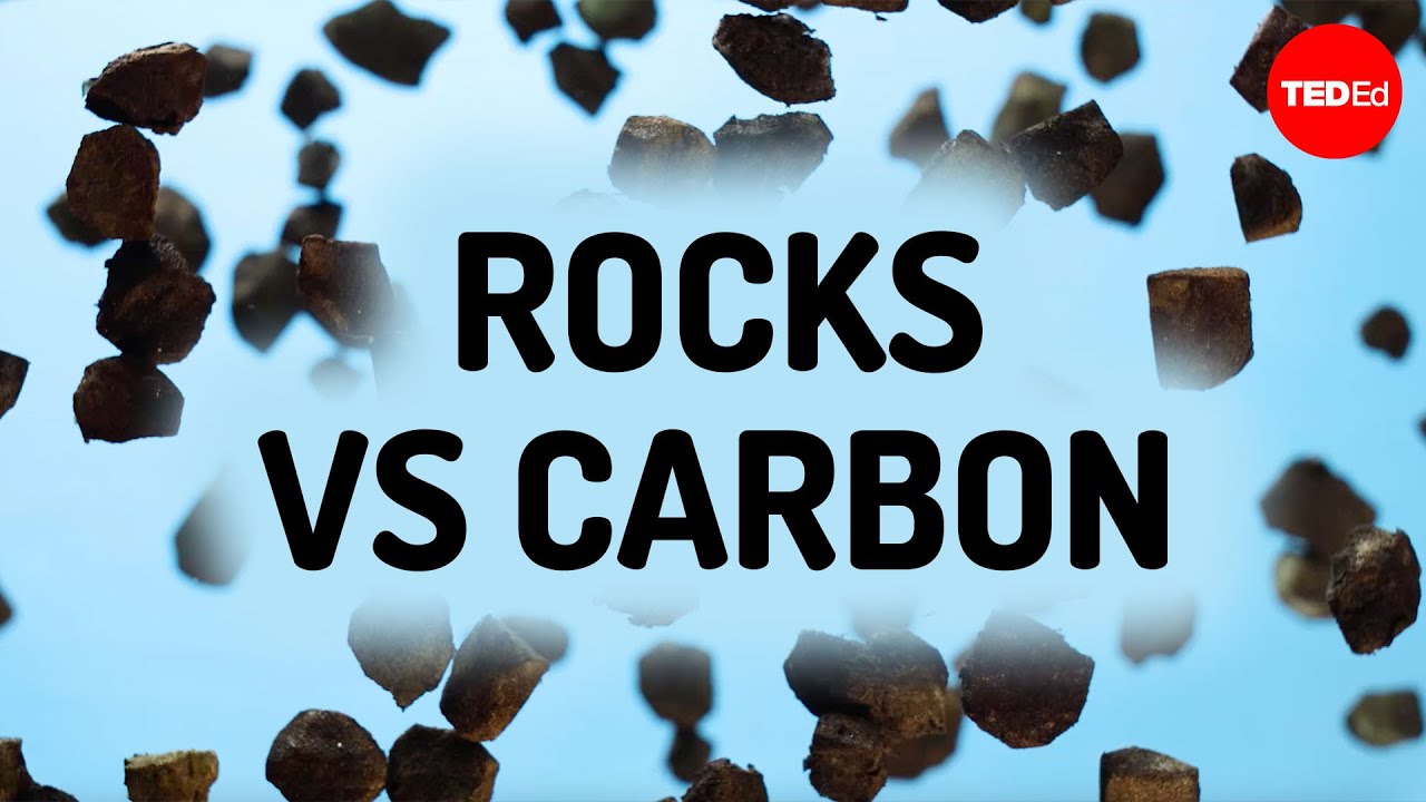 Rocks could save the world (Yes, rocks) - Elise Cutts