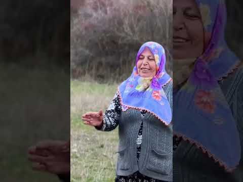 Başka köpeği sevdi diye sahibine küsen Köpek ! #keşfet #kangal #yavruhayvanlar #youtube