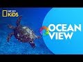 Exploring Wildlife Photography