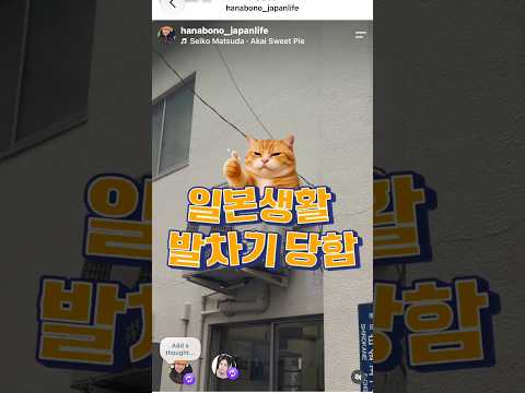 일본한달살기 발차기당함日本１か月滞在中に蹴られました