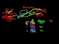 Cardiovascular System Regulation Concepts