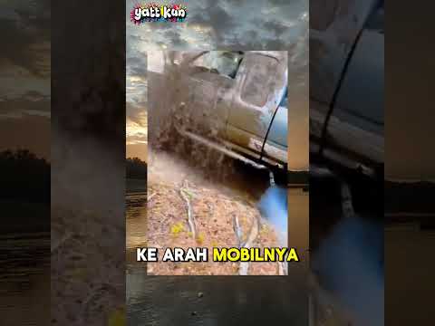 mobilnya terpuruk tapi endingnya mandi lumpur#videolucu#shorts#meme