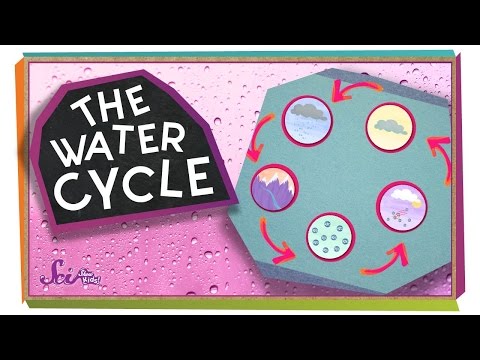 Where Does Water Come From? | Ecology for Kids - YouTube(4:21)