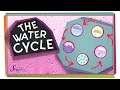 Understanding the Water Cycle