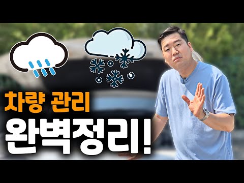 2025년!! 돌아온 차량 관리 꿀팁 완벽 정리!!