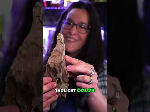 Aquarium Substrate Secrets_ Color Changes When Wet #aquarium #aquascape #fishkeeping #fishtankcare #fishtank #fishkeepinghobby #fishkeeping #aquariumfi