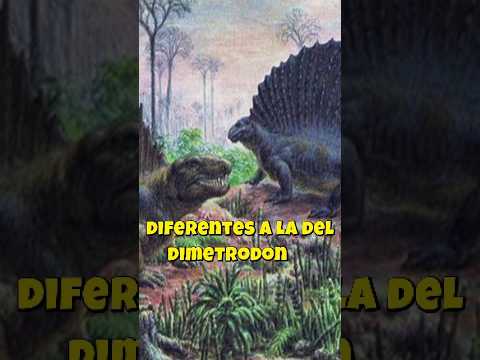 Curiosidades sobre El Edaphosaurus