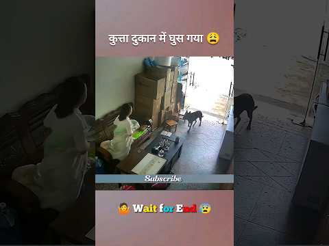 कुत्ता दुकान में घुस गया ? #shorts