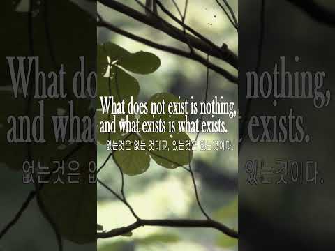 <strong>Since</strong> it existed, exist! 살아있음에 대하여 #naturevideo #nature