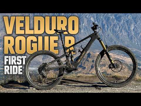 High-Pivot Avinox Animal! Velduro Rogue Review