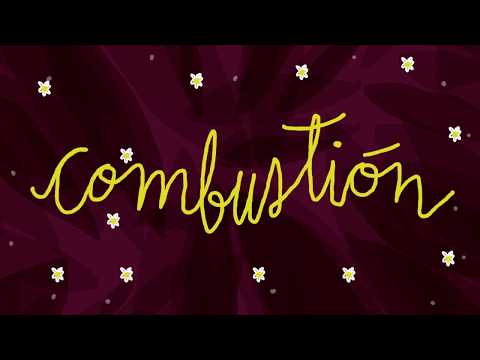 Combustión - Jósean Log