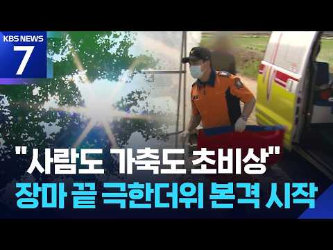 “사람도 가축도 초비상” 장마 끝 극한더위 본격 시작 / KBS  2026.07.27.