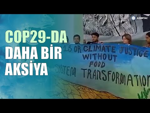 COP 29-da Ərzaq və Kənd Təsərrüfatının İşçi Qrupu aksiya keçirib