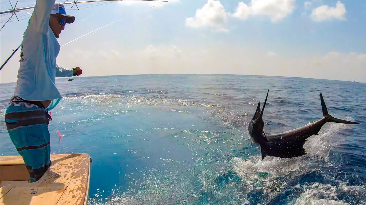 Most EPIC Sailfish Video Ever! GIANT Pacific Sailfish (Quepos, Costa Rica)
