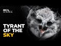 Harpy Eagle: The Apex Predator of the Rainforest