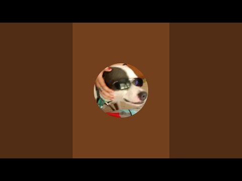 🐾Mi Perro tango🐾 está en vivo