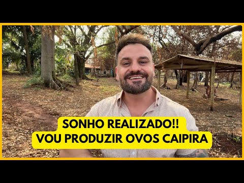 VOU INVESTIR na CRIAÇÃO de GALINHAS POEDEIRAS para PRODUÇÃO de OVOS CAIPIRAS