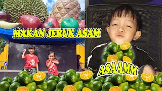 MAKAN JERUK KASTURI YANG RASANYA ASAM😫