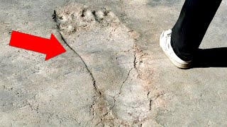 5 Mysterious Ancient Artifacts of Biblical Giants