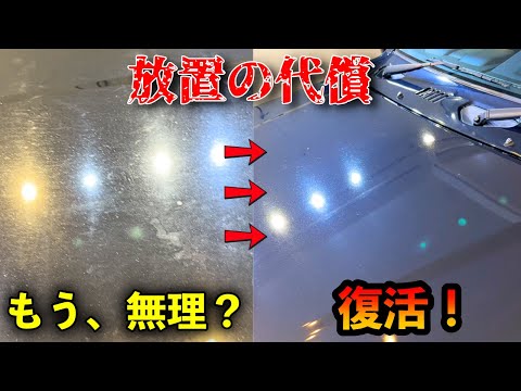 放置で絶望したジムニーシエラ…プロの洗車で奇跡の復活！