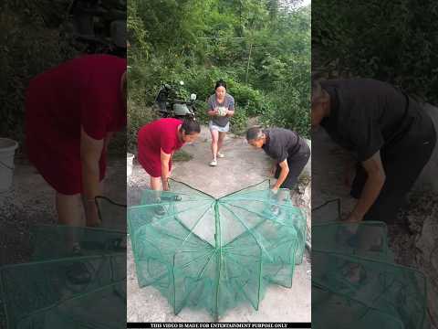 Put watermelon in the net 🥱🤔 #shorts #viral