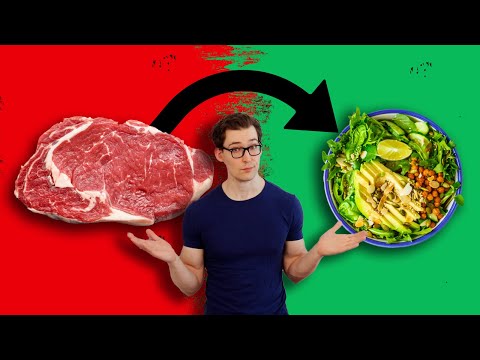 Replacing Meat with Plants: Is it Actually Better?