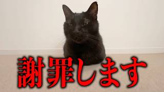 謝罪させてください