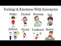 Synonyms and Emotions Assessment