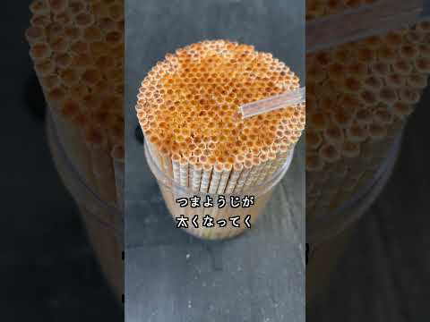 つまようじに限界まで水を入れると