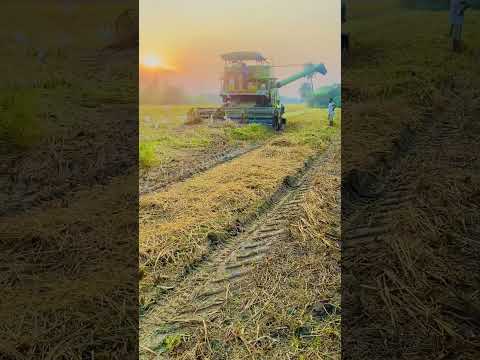 Village life #nature #music #piano #song #soundtrack #reels #viralvideos #villagelife #farming