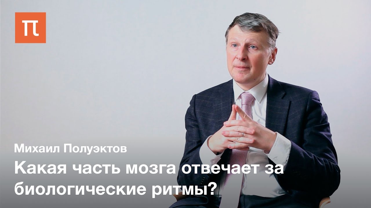Сон и биоритмы - Михаил Полуэктов