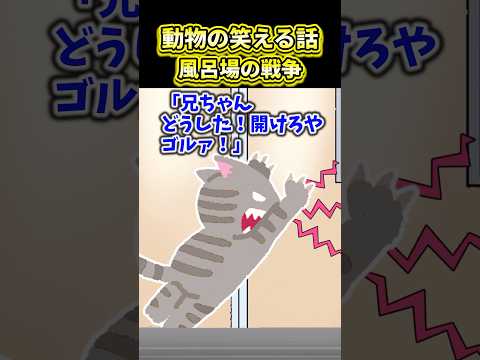 【2ch動物スレ】動物の笑える話~風呂場の戦争~