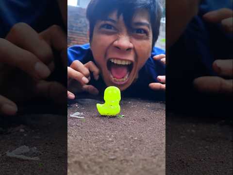 Indignant, Scream loudly so this millipede will climb the lollipop #millipede #shortvideo