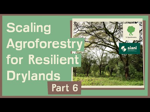 Scaling Agroforestry for Resilient Drylands: Policy Brief Launch Highlights (Part 6)