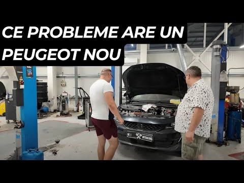 Bărbații Adevărați Agăță cu Prius, nu cu Cayenne