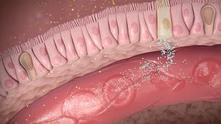 How Semaglutide Works in Weight Loss and Type 2 Diabetes