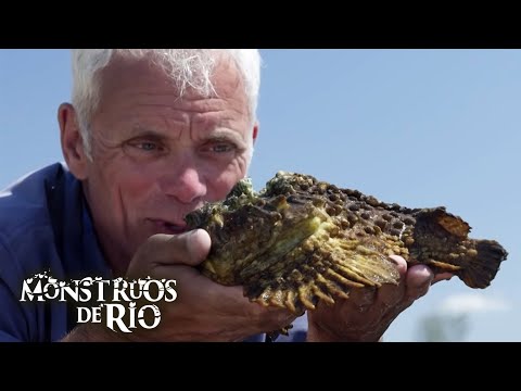 Encuentros Locos Con Peces Que Casi Salen Mal | Monstruos de Río