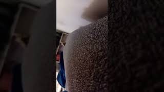 pa no dejar muerto el canal