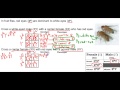 Genetics of Eye Color in Fruit Flies