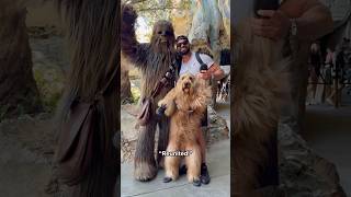Reuniting My Dog With His Father! #maythe4thbewithyou #starwars #goldendoodle