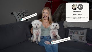 DNA TEST RESULTS ON MY DOGS! *I FOUND HER MOM*