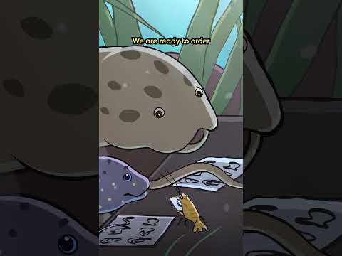 Gilled Lungfish 🫁🐟 #animation #original #cartoon
