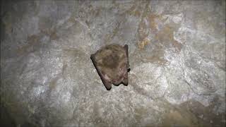 #89 Mines of Mexico #6 Zacatecas