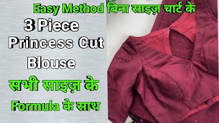 3Piece Princess Cut Blouse/All Details in 1 Video/ये vdo देखके आप किसी भी size में ब्लाउज बना लेंगे