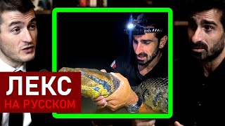 Пол Розоли ловит гигантскую анаконду | Лекс Фридман Подкаст Клипы