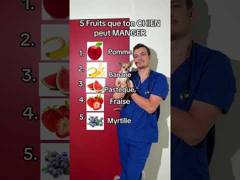 5 fruits bons pour ton chien #top #chien